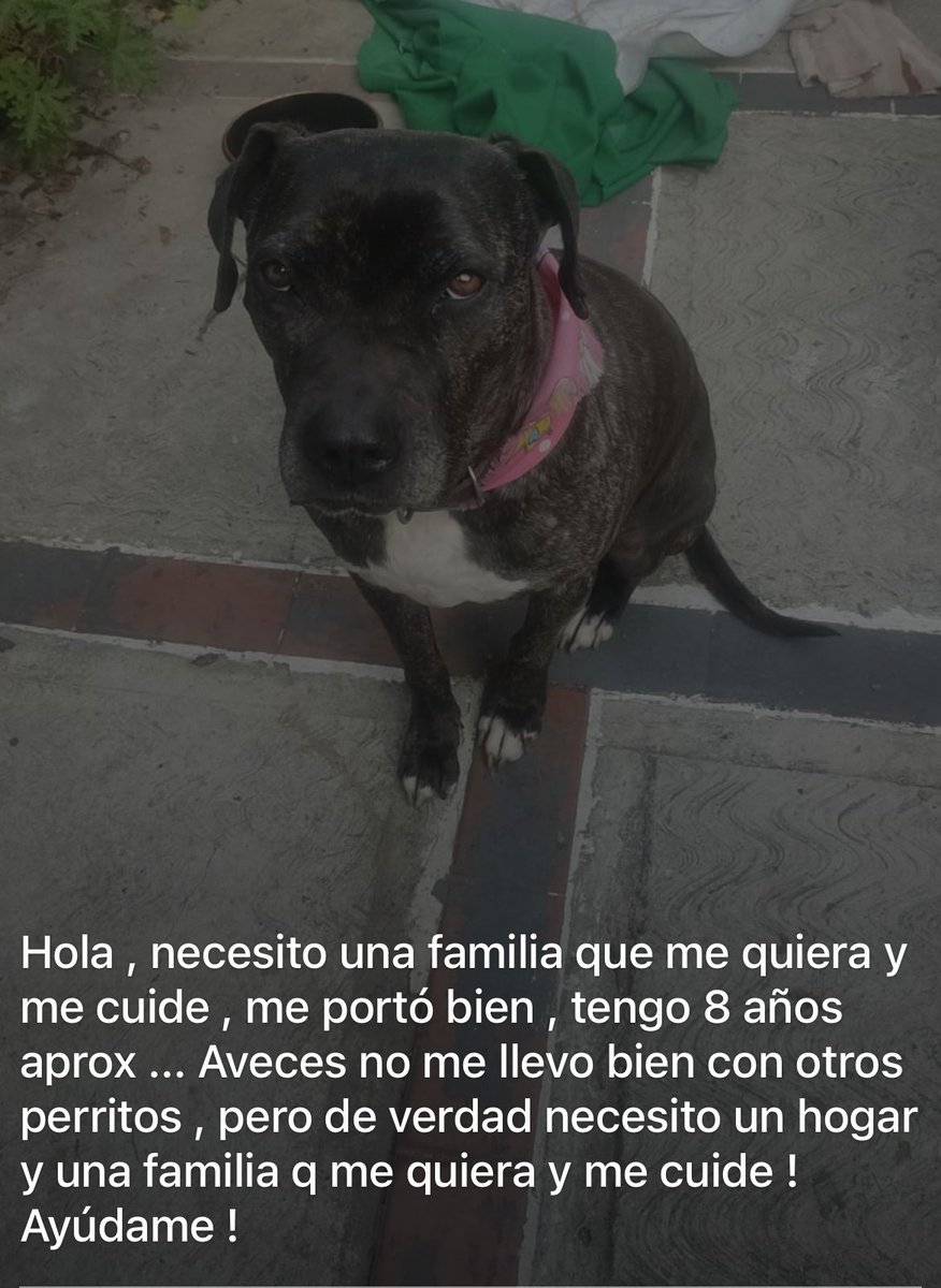 IEditores's tweet photo. No todo es negocio , ayuda 🙏 https://t.co/qXDQzujDJm
