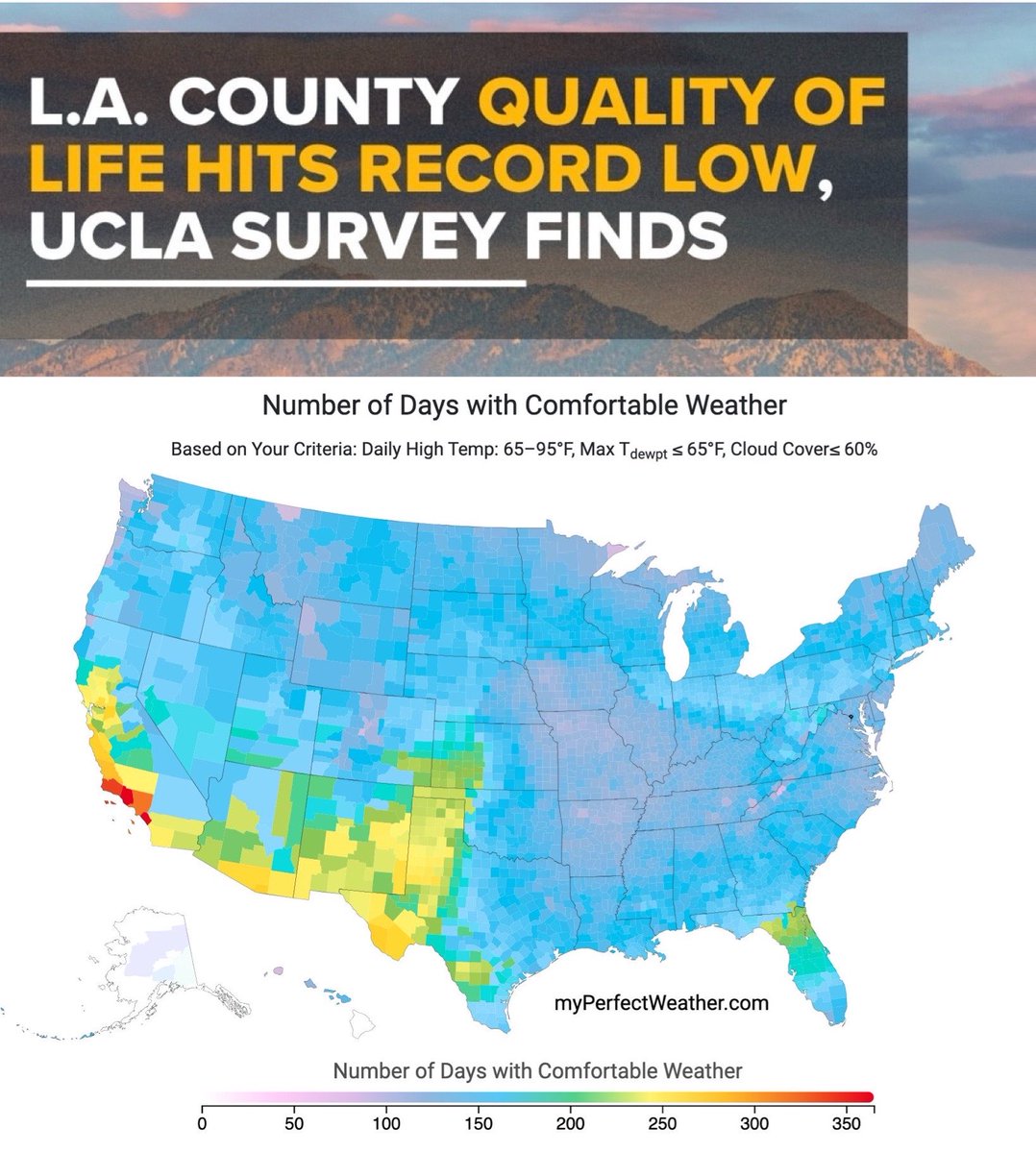 Americana at Brand Memes tweet media