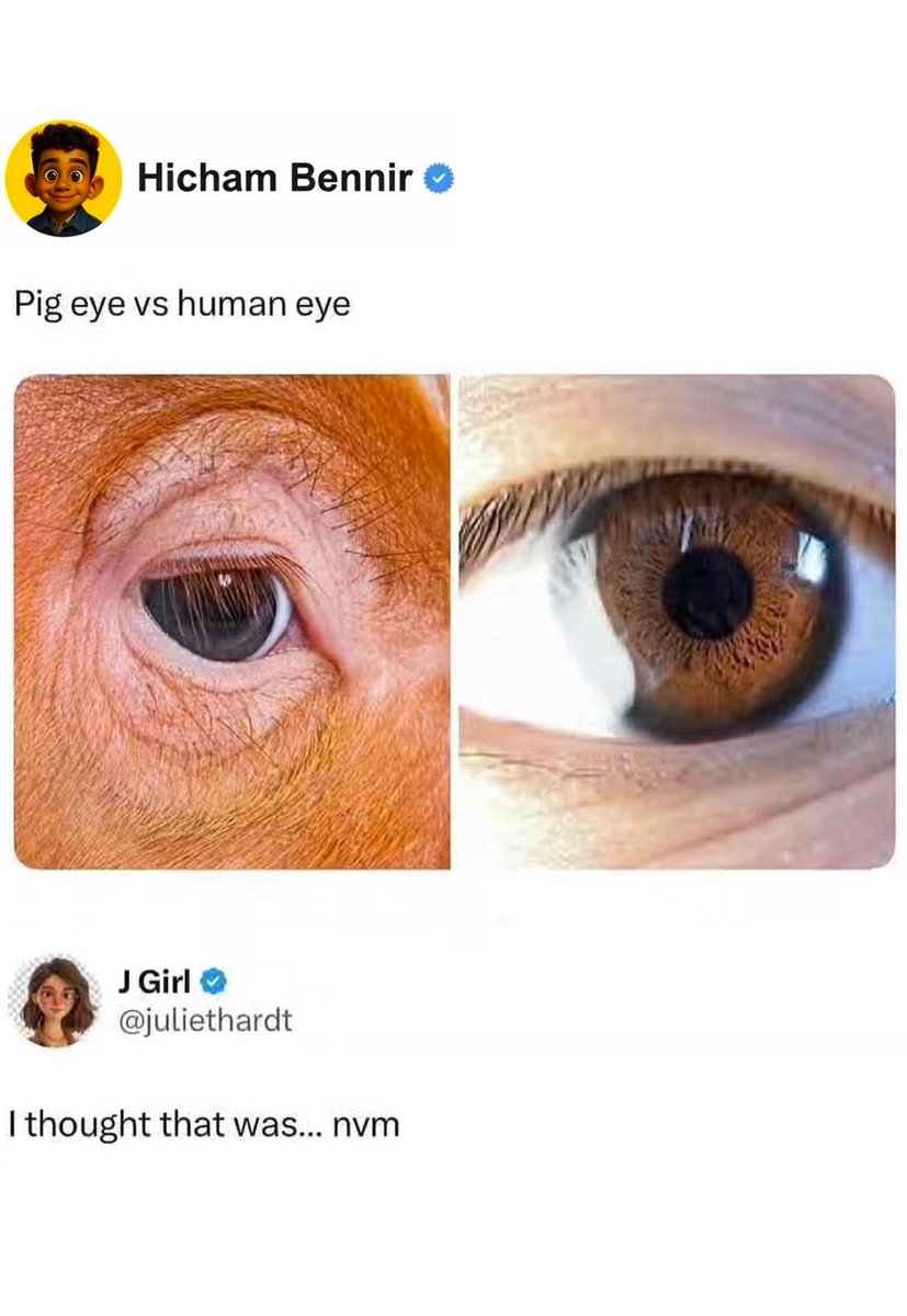 Scuttlebutt tweet media