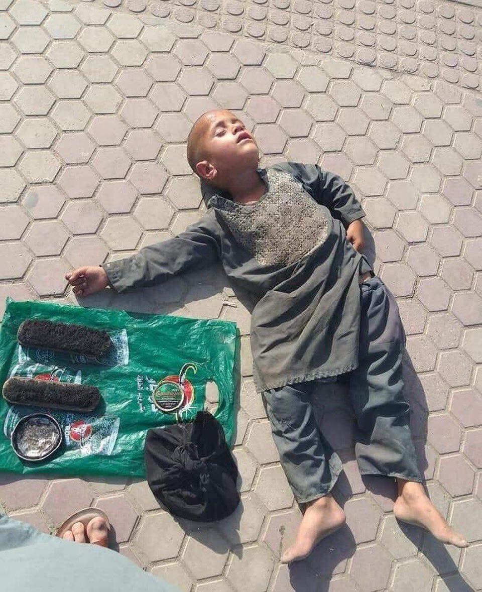 امیدځلاند زابلي tweet media