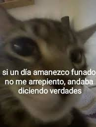 ✦ あお ᵇˡᵉᵘ tweet media