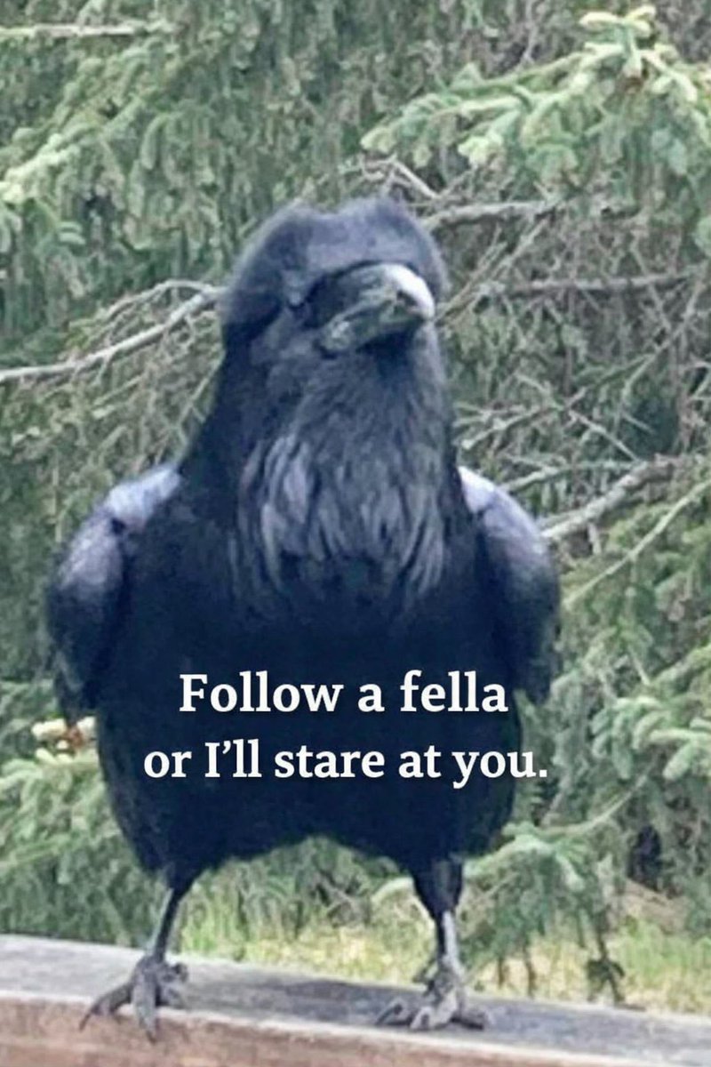 Gerhard Torges 📯-  - Слава🇺🇦Україні Δ - #NAFO tweet media