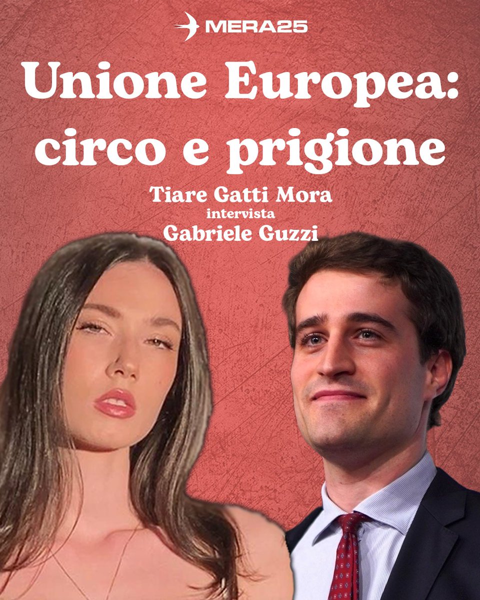 MERA25 Italia tweet media