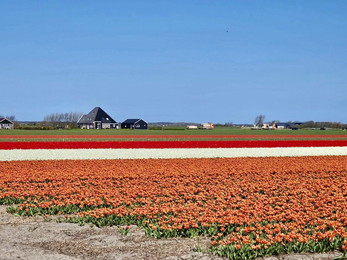 Fup Boon tweet media