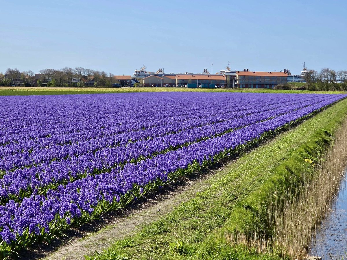 Fup Boon tweet media