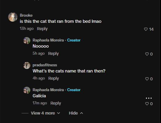 Toshi10x's tweet photo. cat name is Galícia

https://t.co/rKwCyfqXqh

the owner confirmed the name is Galícia in comments  ill attact the ss and link of video 

https://t.co/prRXnGtH2m

post has 90 million views on just 1 video - this account tagged her partner (they are lesbian couple)

https://t.co/rKwCyfqXqh
