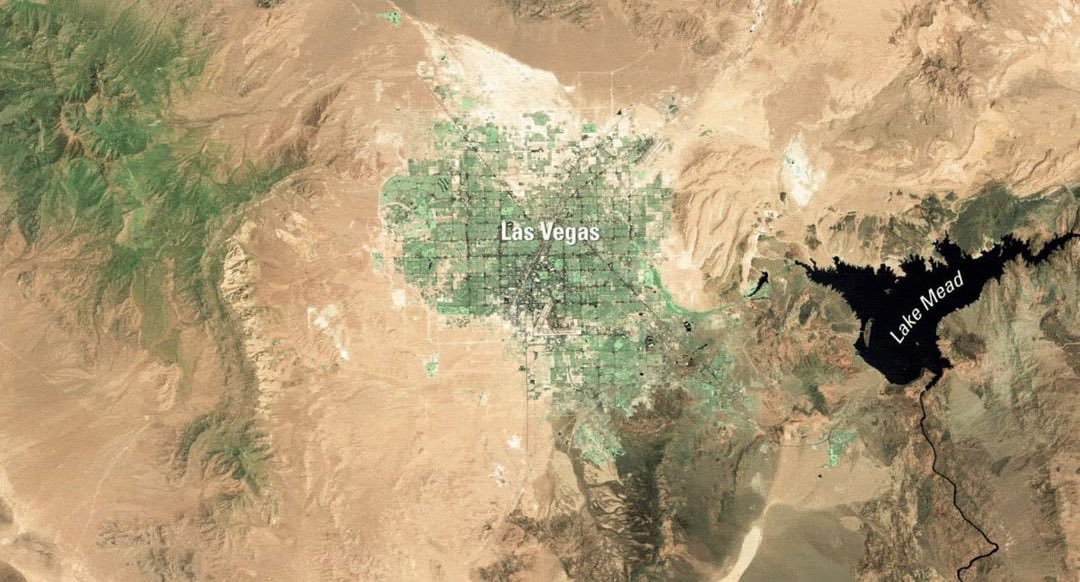 Kristi Yamaguccimane tweet media