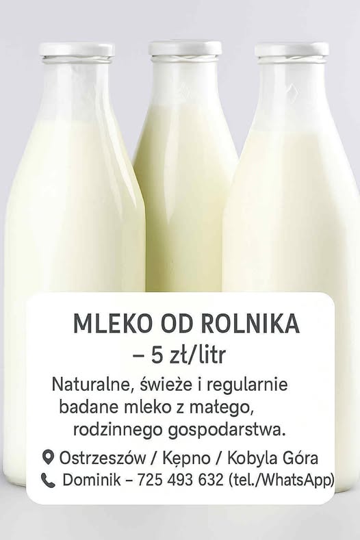 STOP praniu mózgów 🦅 tweet media