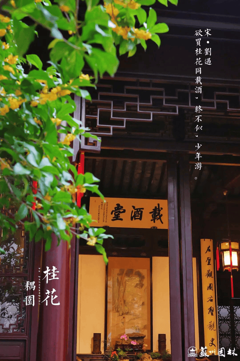 Carina Lykke Laursen tweet media