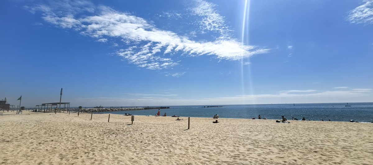 O'Duško tweet media