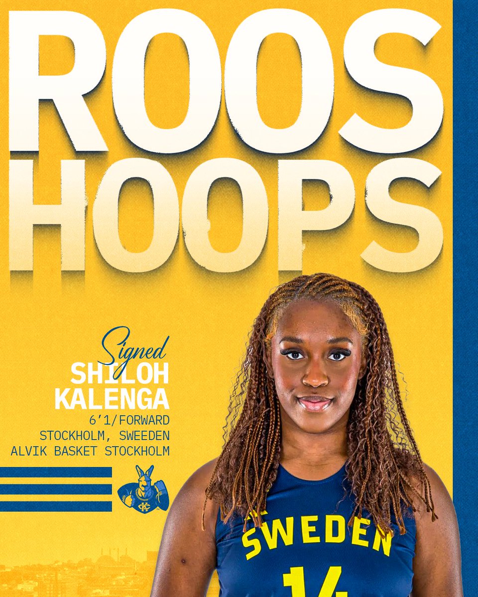 KCRoosWBB's tweet image. Kansas City, please welcome Shiloh to the Roos family 🦘🔥
#ROOUP