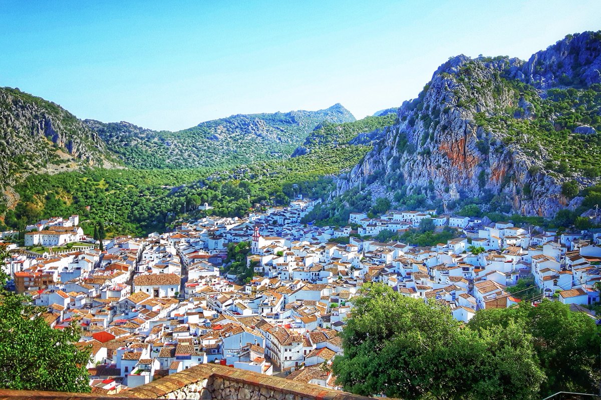 Iván Fernández Amil tweet media