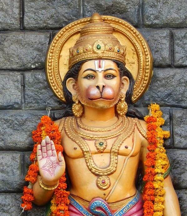 mikois velaryon tweet media