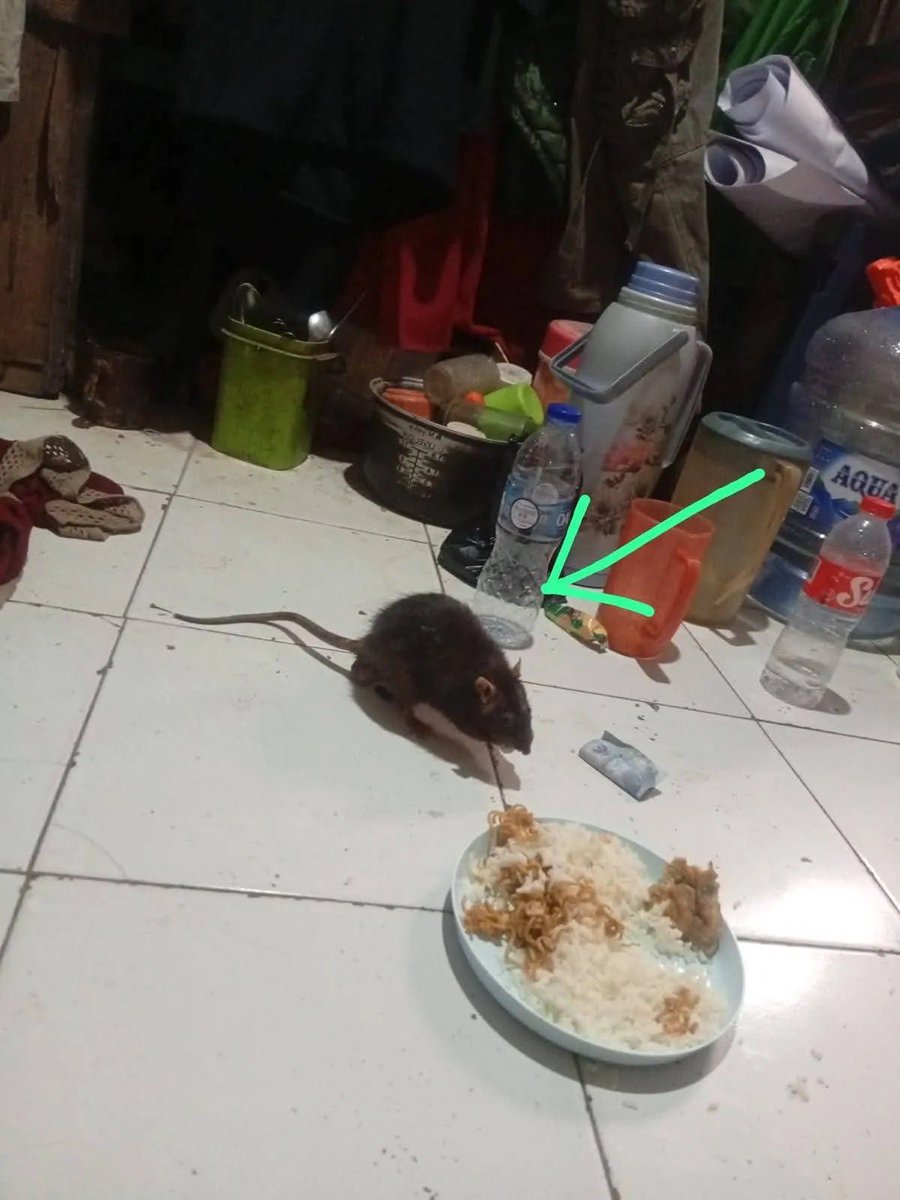 rzkfadhil tweet media