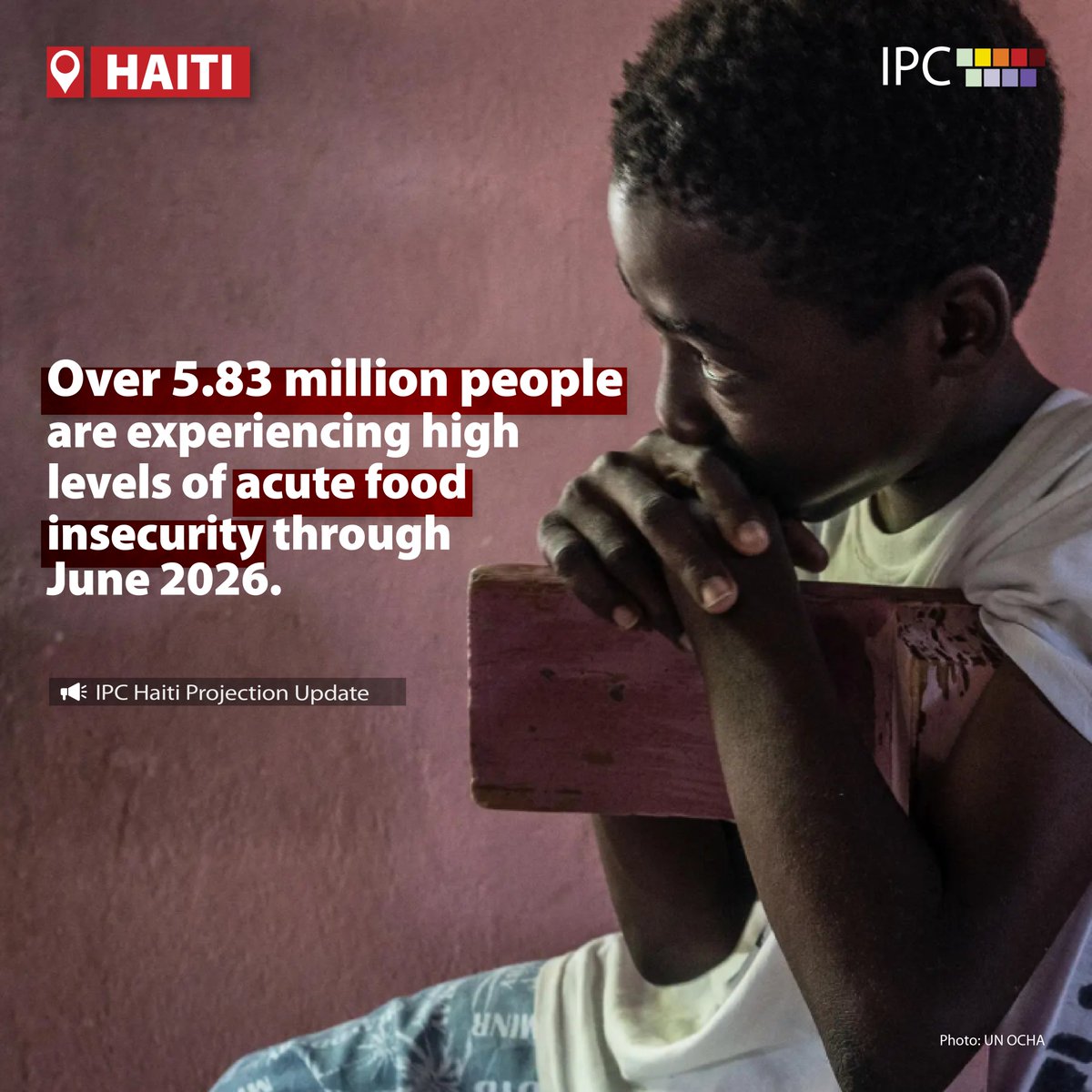 United Nations tweet media