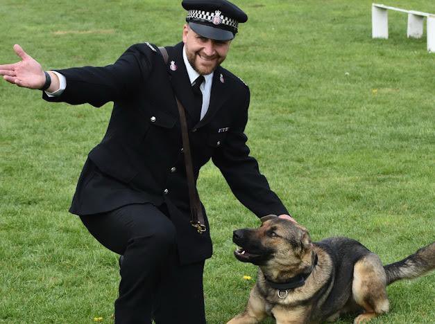 MouseholeCat's tweet photo. It was PD Buzz passing out parade today, he will always be my darling puppy xx https://t.co/tvEZYaHqnZ