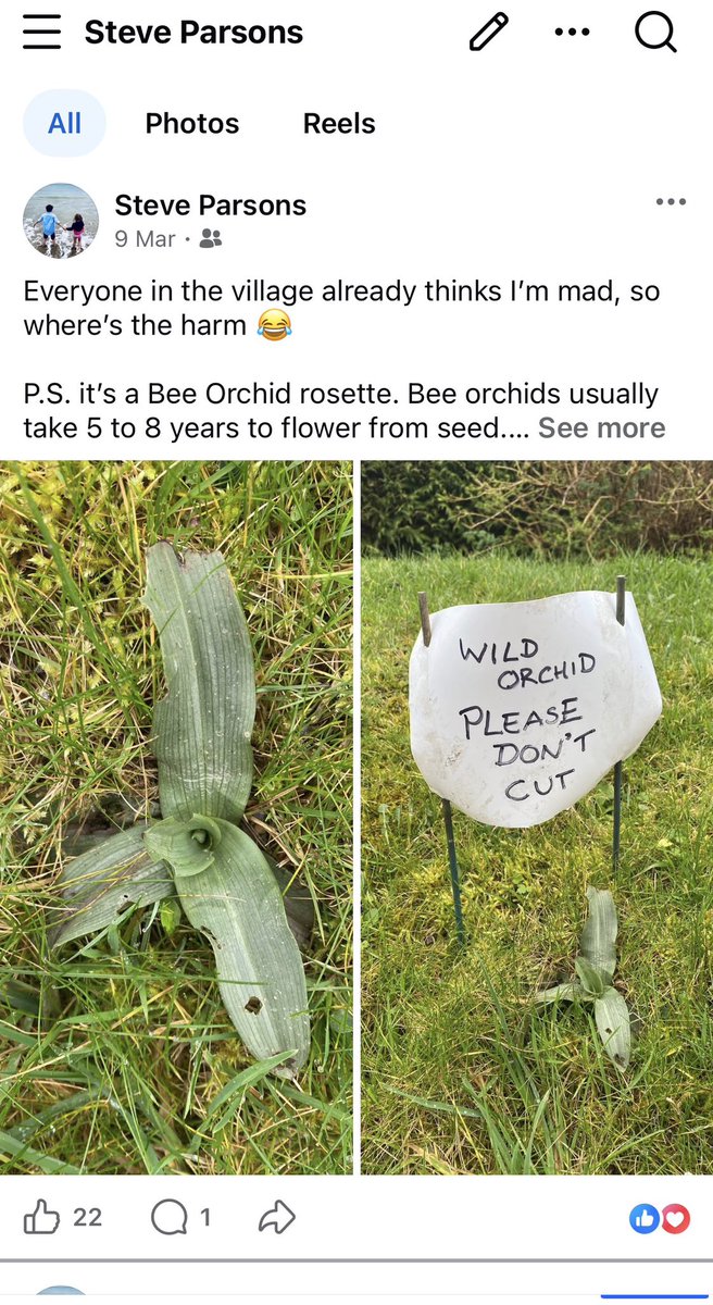 StevePa46290725's tweet image. Sadly, but unsurprisingly, the Bee Orchid I was trying to protect, didn’t survive the zealousness of the strimmers 😢 Even clearly signposted it was still destroyed today. On a positive note, it has created a lot of interest (and now anger) in the village. #orchid