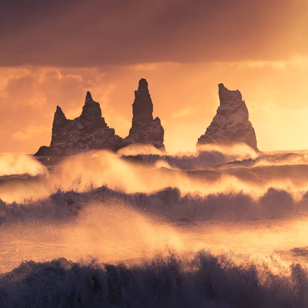 The Brittany coastline features dark-hued seagulls, their animated forms starkly outlined against the firmament.