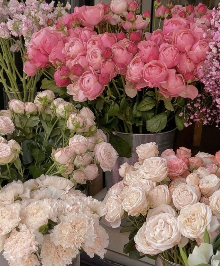 Flowers Life (@flowerslife54) on Twitter photo 