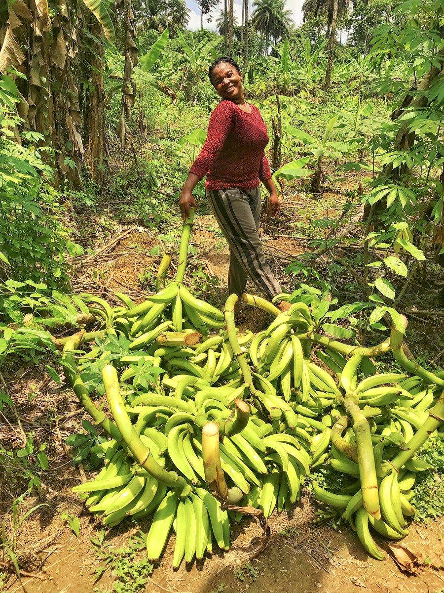 Enibo Albert tweet media