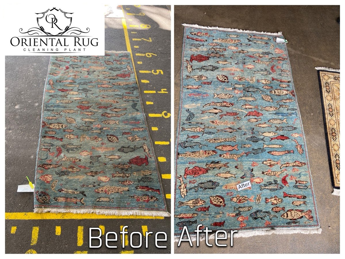 Rug Cleaning Orlando tweet media