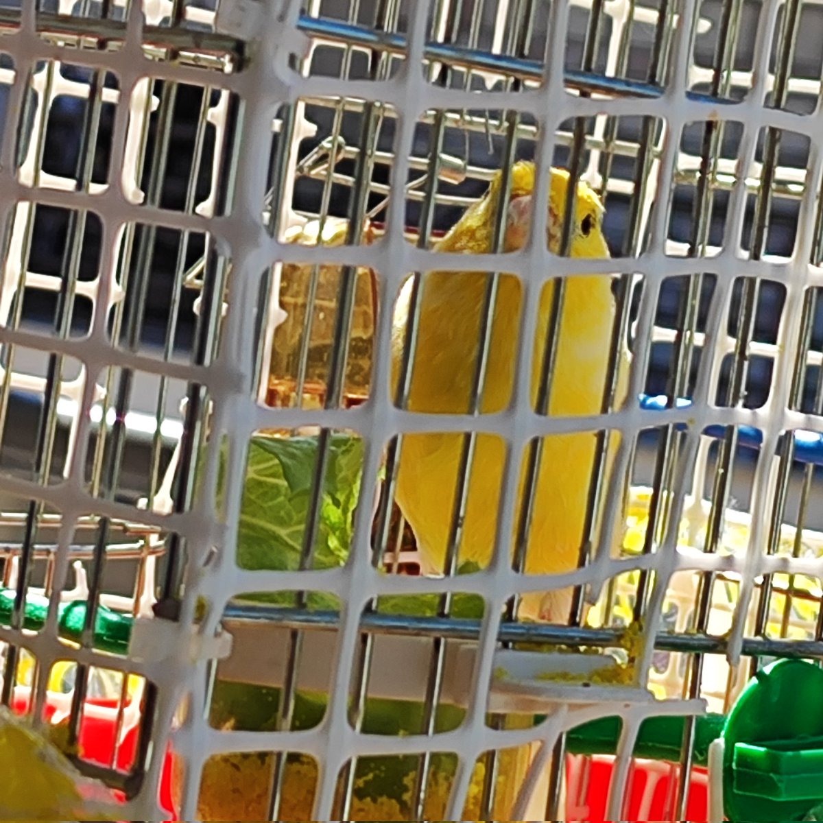 Εθνική Χήρα tweet media