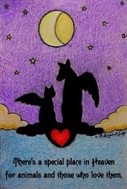 HealingPurrsPaw's tweet image. ☆☆#HealingPurrsPawty☆☆
startz in 5 minutez!

#ALL r #welcome 2 honor doze OTRB fur da next 6 hourz!

Feel free 2 post pix/songz/sayingz etc. or just come n hang out wif uz

#wlf #wlf10thBattalion #Purrs4Peace #TheAviators #ZSHQ #zzst #cloudriderz #hedgewatch #OTLFP