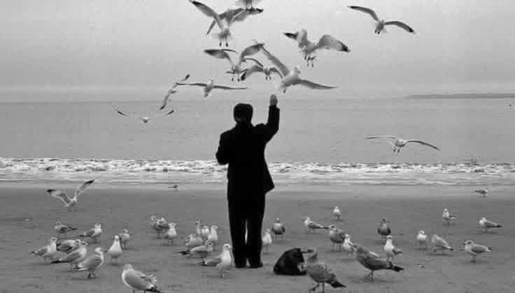 Urdu Novels tweet media