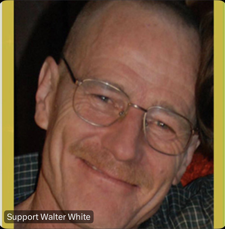 Support Walter White