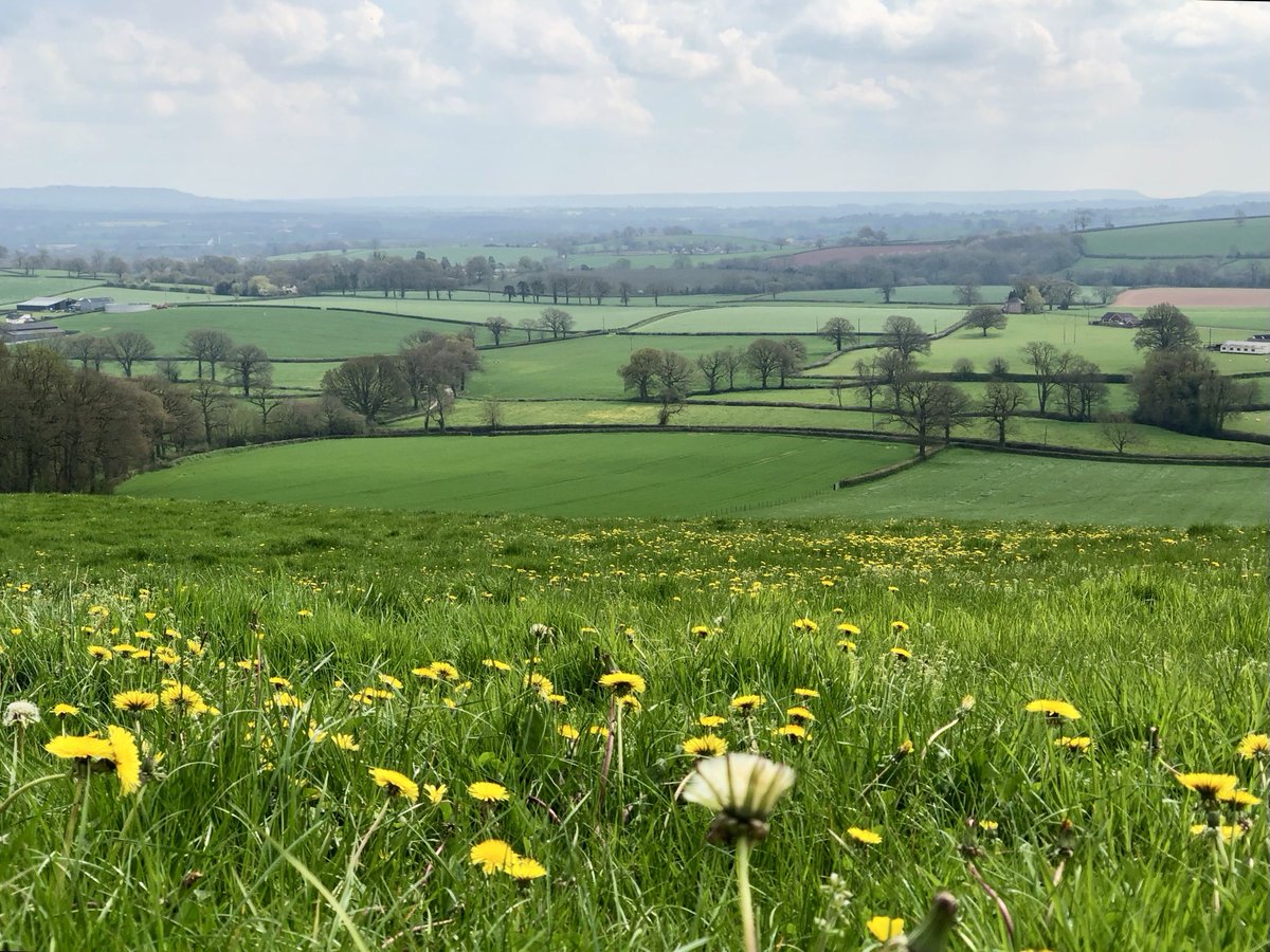 LorraineInglisD's tweet image. Quiet skies and rolling fields 🌼🌿

#photography #Devon #spring    #10minutesfromhome  #nature 
#landscape #FlowersonFriday #FridayFeeling #flowersonX