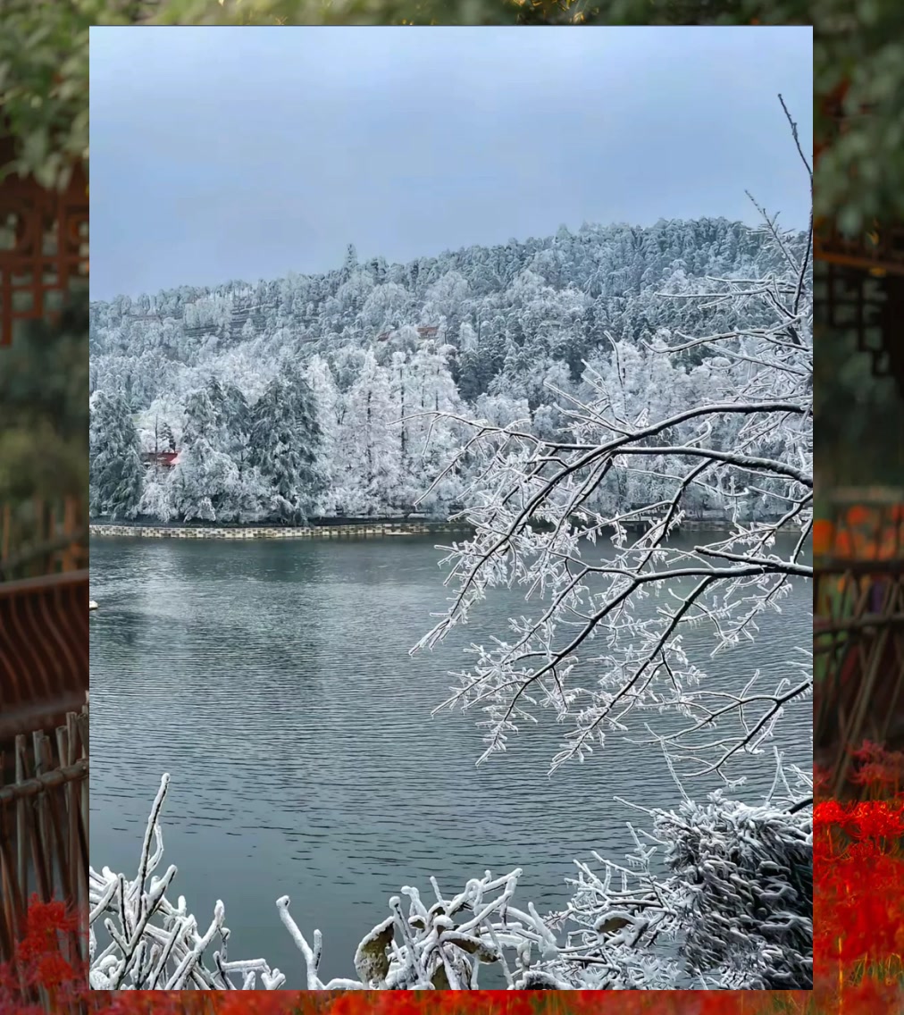 Jeff Clinton tweet media