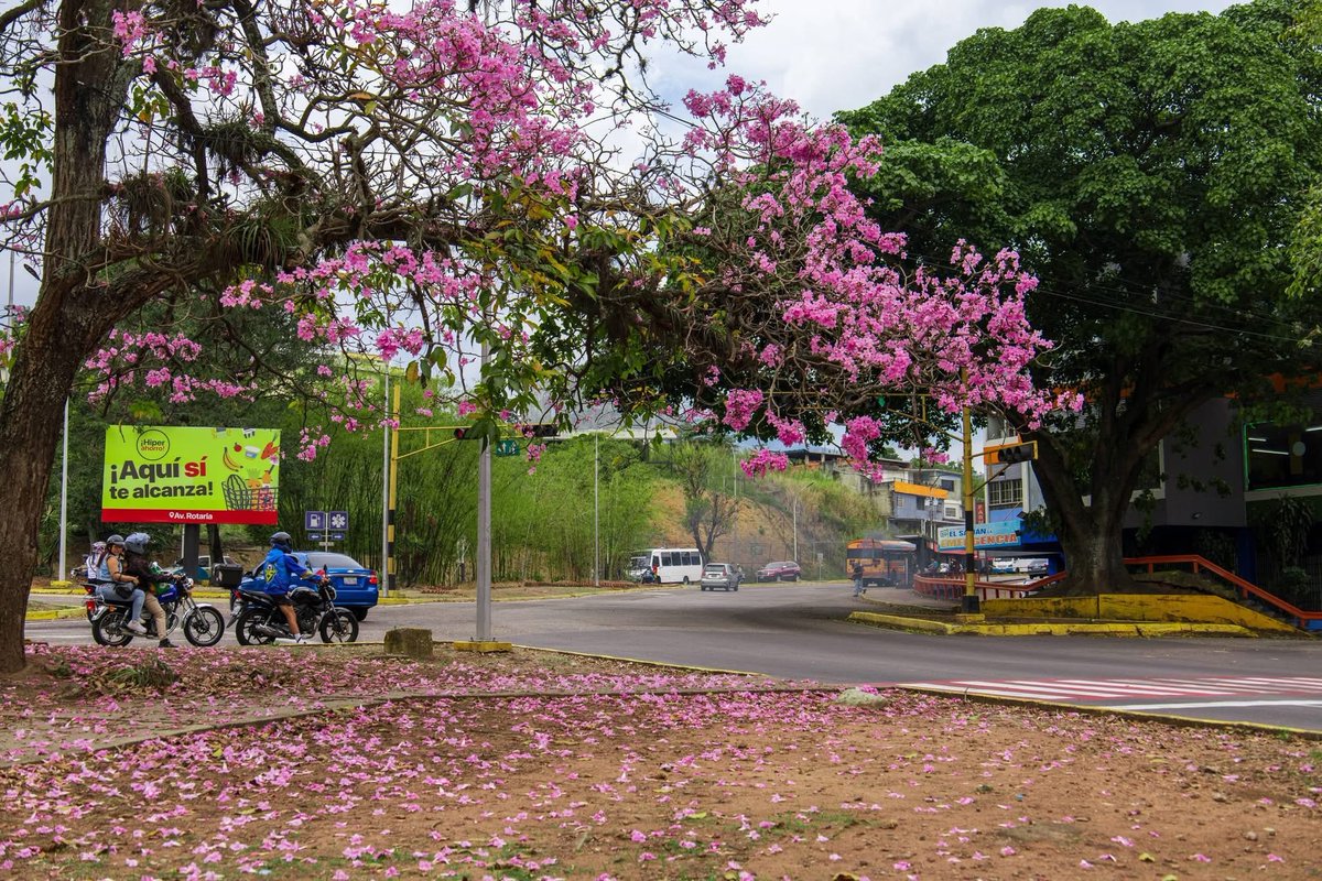 Venezuela Cerca tweet media