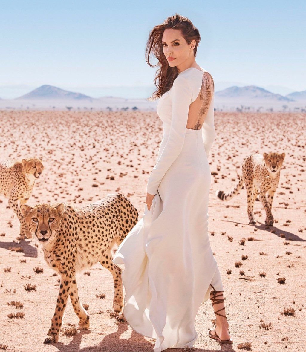 Angelina Jolie compró 60 mil hectáreas en Camboya que eran usadas para la caza.

Hoy, el área se ha convertido en una reserva de protección a la vida silvestre.