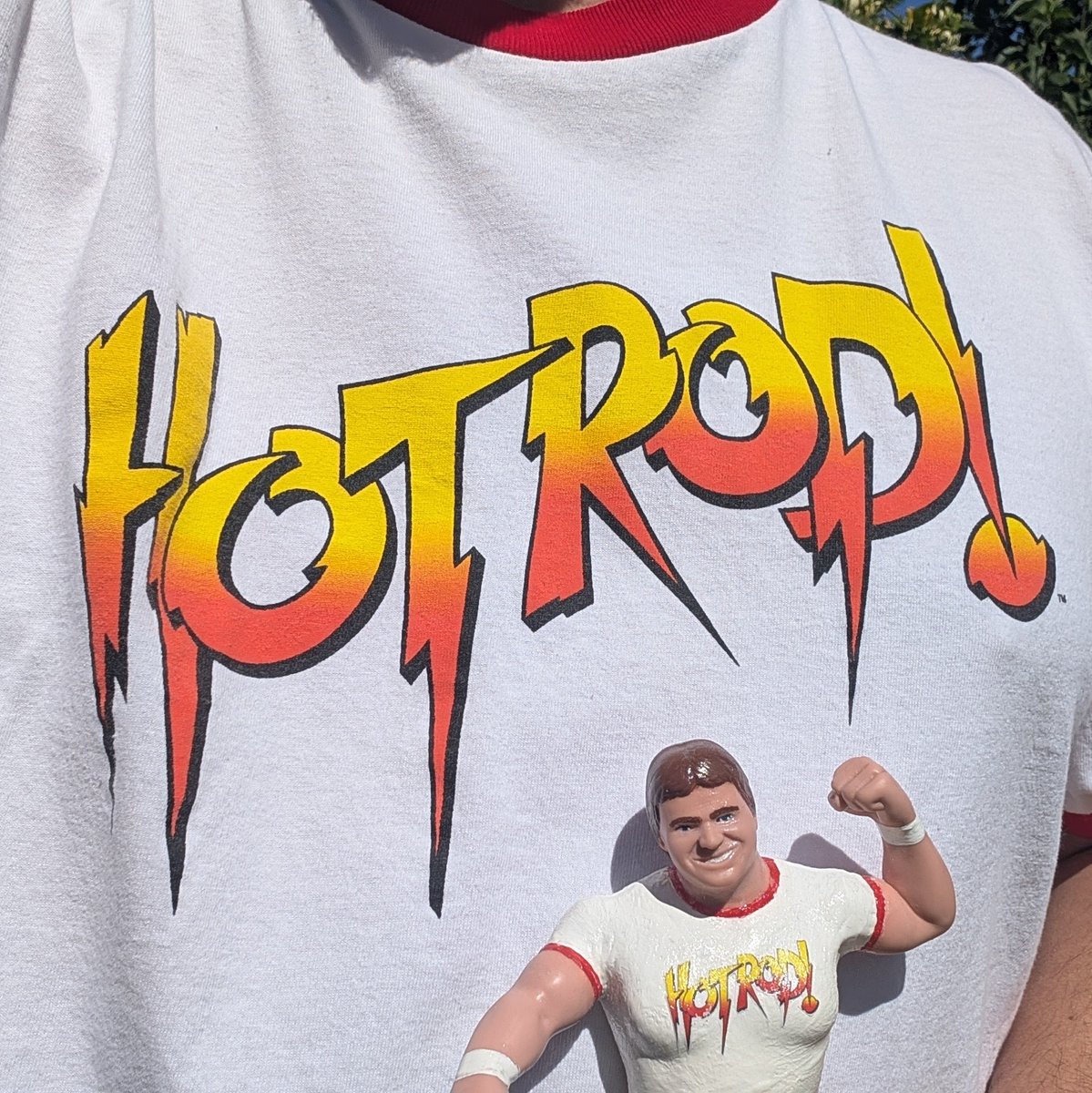 80s Wrestling Fan tweet media