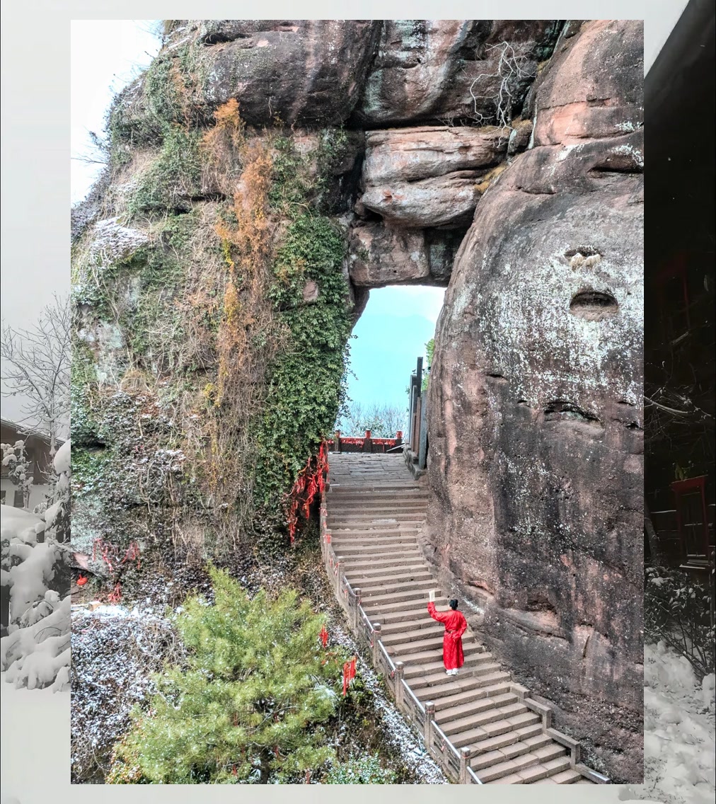 Timothy Fisher tweet media