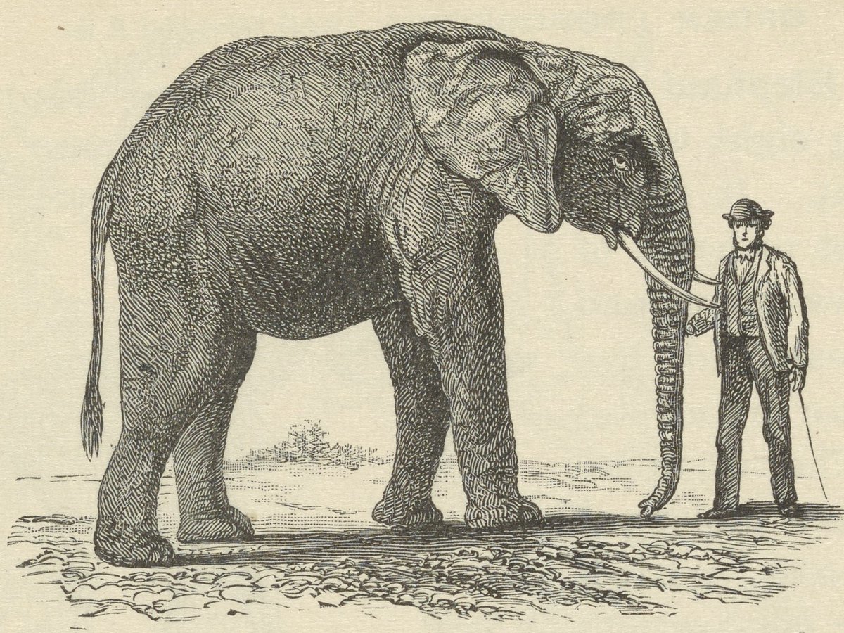 Theodore Roosevelt Center tweet media