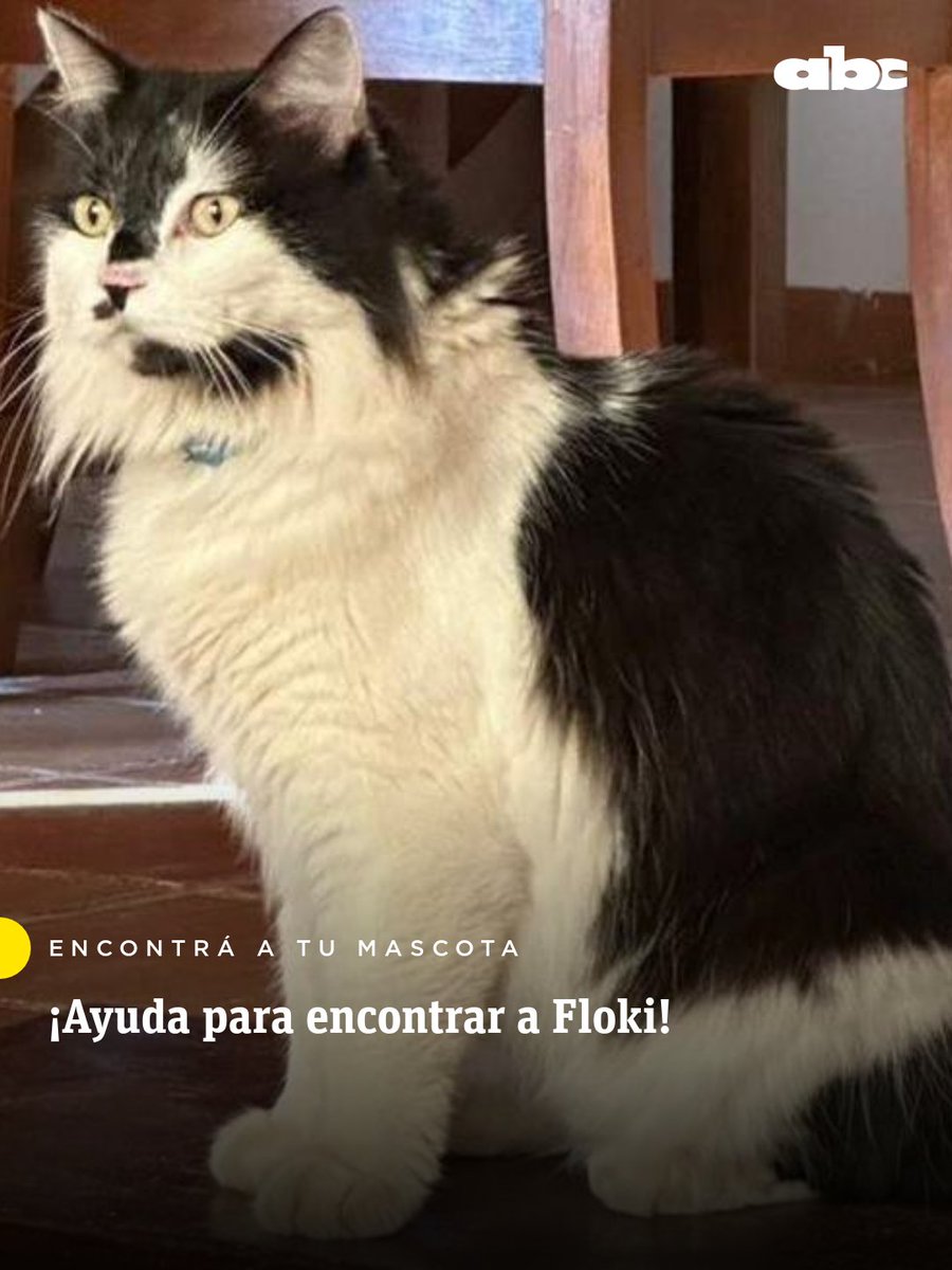 ABC Digital tweet media