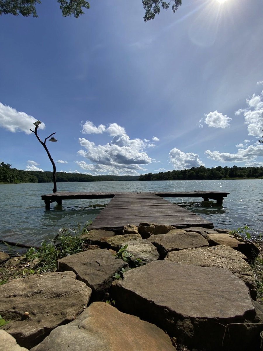 กรมอุทยานแห่งชาติ สัตว์ป่า และพันธุ์พืช tweet media