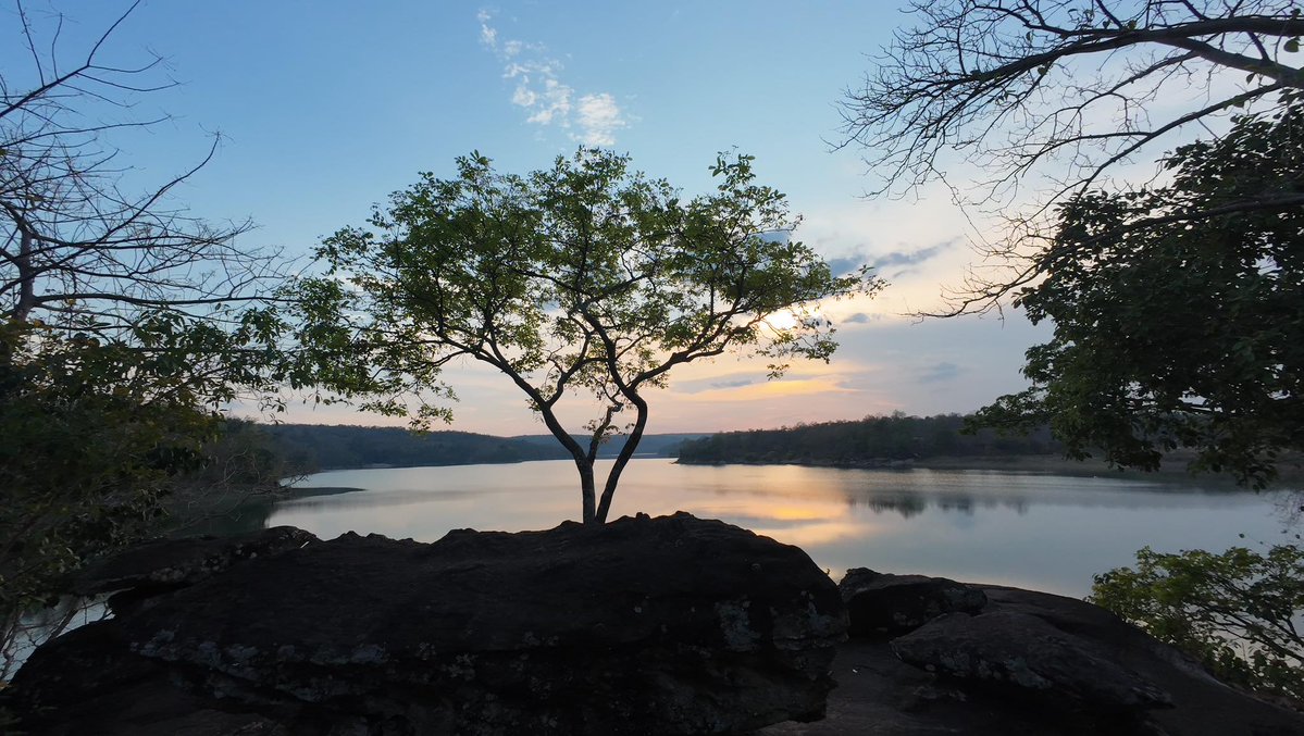 กรมอุทยานแห่งชาติ สัตว์ป่า และพันธุ์พืช tweet media