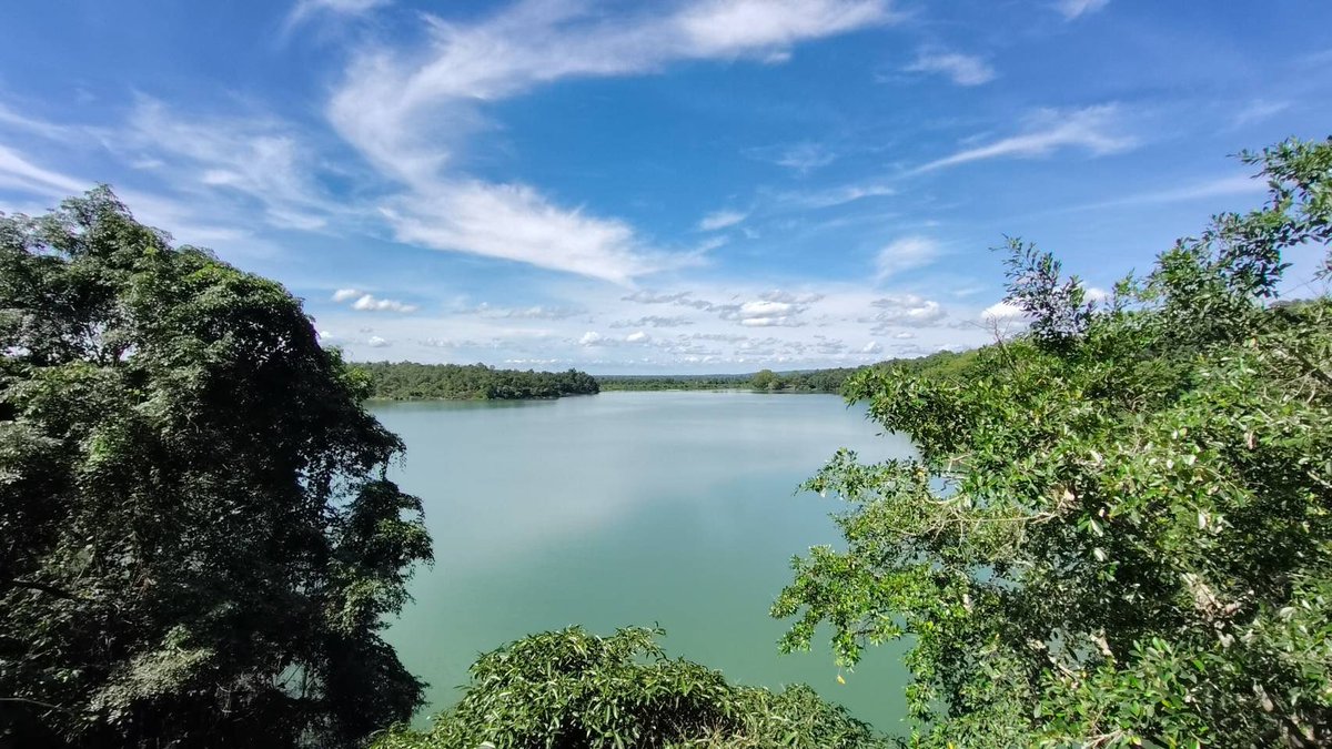 กรมอุทยานแห่งชาติ สัตว์ป่า และพันธุ์พืช tweet media