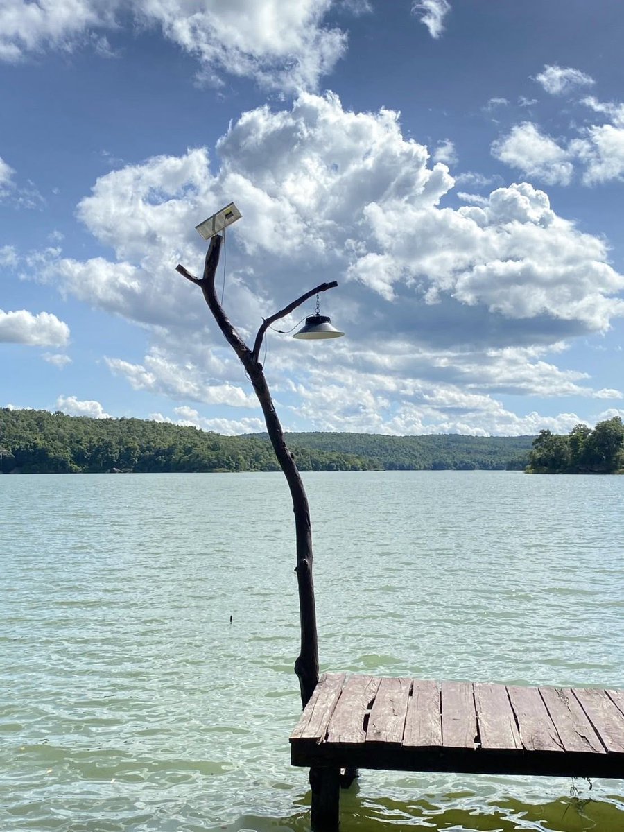 กรมอุทยานแห่งชาติ สัตว์ป่า และพันธุ์พืช tweet media