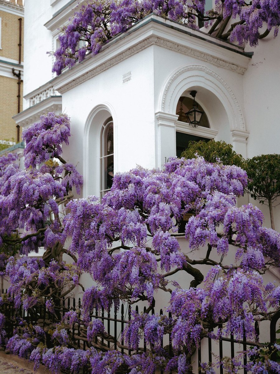 ⊹ ࣪ pam ˖✦ tweet media