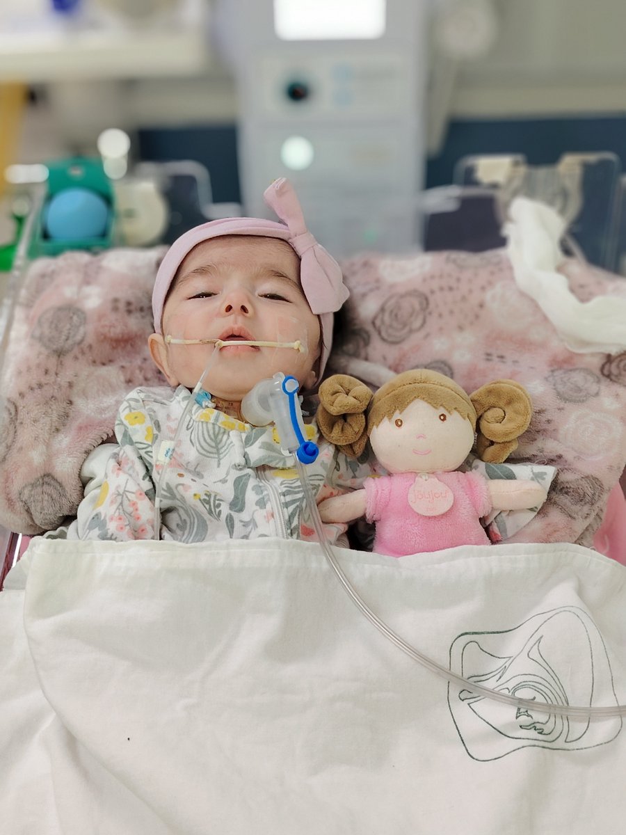NoPasaNada_mx's tweet image. #TodaysStory 👶 | Isabella, la bebé sonorense que está por cumplir un año y todavía no ha conocido su casa

Nota→ acortar.link/oZWIyx

#GoFundMe #IsabellaCampas #CdObregon