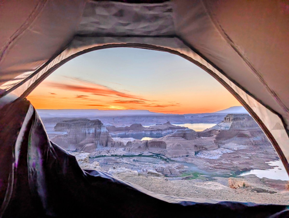 Kyle Field tweet media