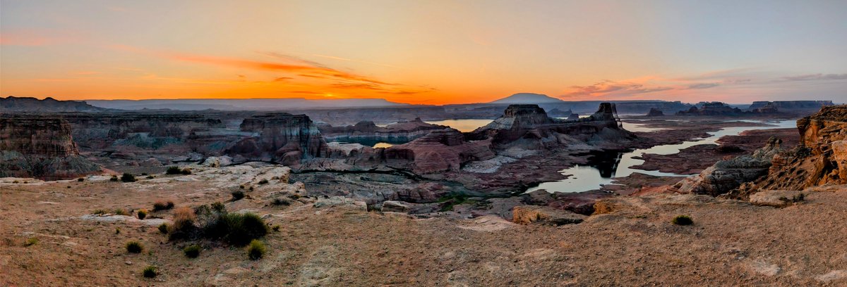 Kyle Field tweet media