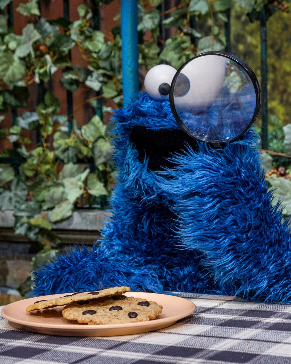 MeCookieMonster's tweet image. Me searching for someone to share plate of cookies with. They are kind and a great friend... it's you! 💙🍪