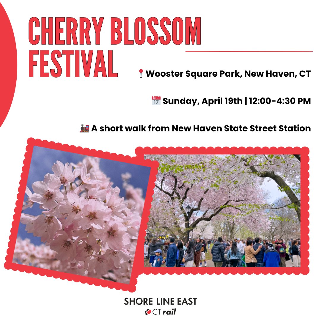 hartfordline's tweet photo. All aboard for spring vibes! 🌸🚂

Hop on CTrail Hartford Line and head to the Cherry Blossom Festival for an afternoon of music, food, and seasonal fun under the blossoms.🌼 https://t.co/biBNWJ5WrT