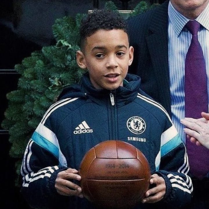 YANG.ROT tweet media