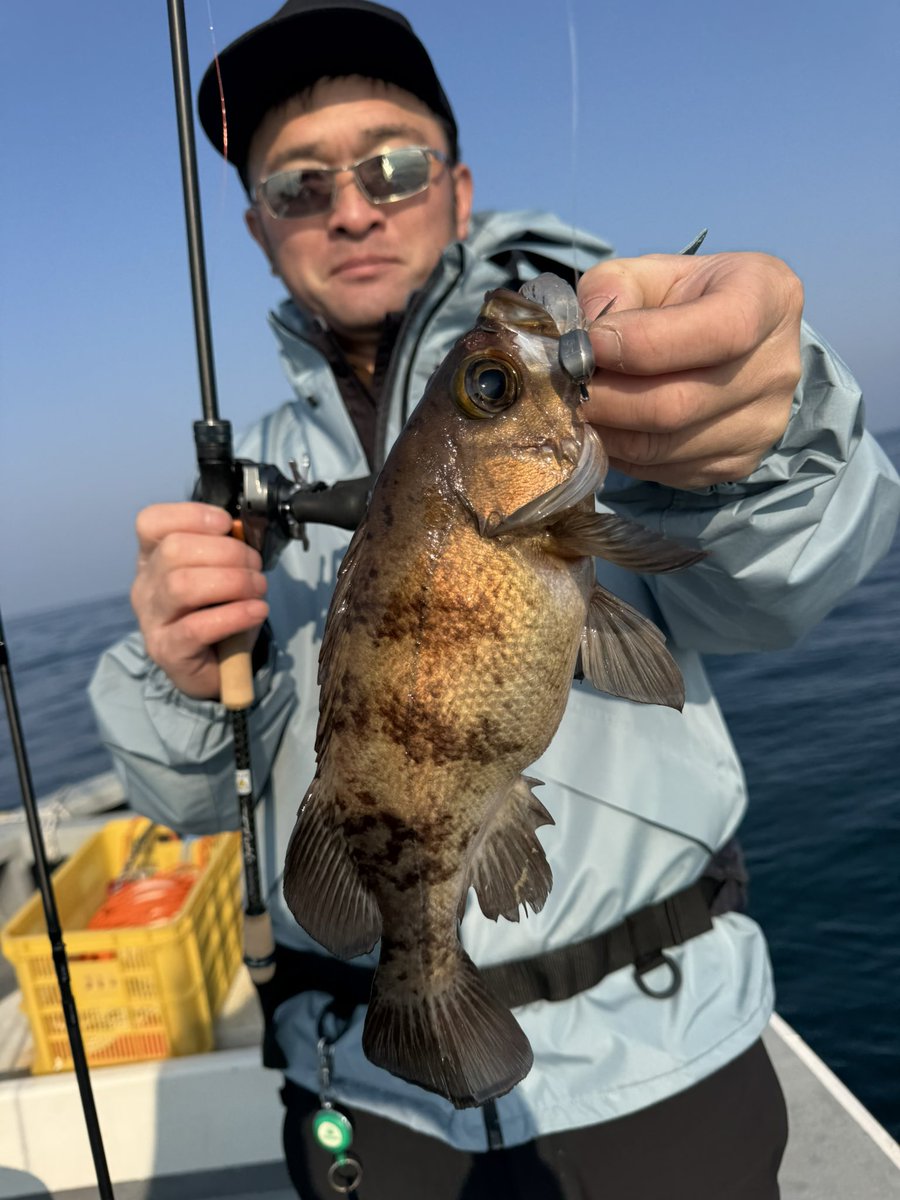 🐟️フィッシングガイド勝栄丸🎣🚢 tweet media