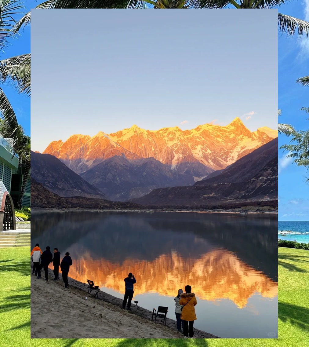 Matthew Collard tweet media